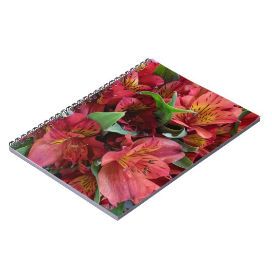 赤い花 ノートブック (左側)