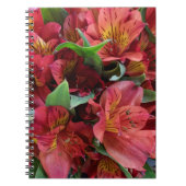 赤い花 ノートブック (正面)