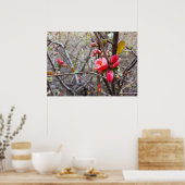 赤い花 ポスター (キッチン)