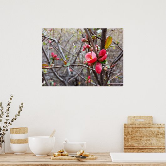 赤い花 ポスター (キッチン)