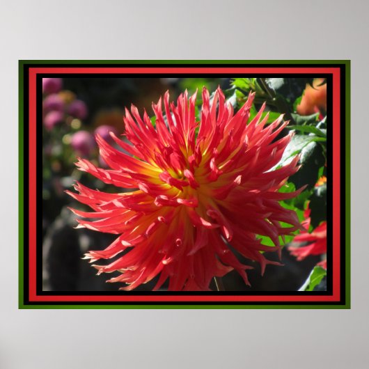 赤い花 ポスター (正面)