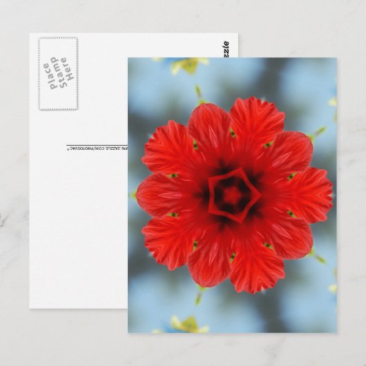 赤い花 ポストカード (正面/裏面)