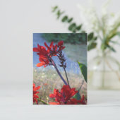 赤い花 ポストカード (スタンド正面)