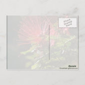 赤い花 ポストカード (裏面)