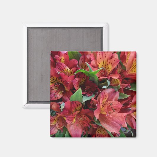 赤い花 マグネット (正面/裏面)