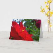 赤い花（中央が黄色） カード (黄色い花)