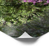 赤い芽の木が春... ポスター (コーナー)