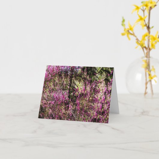 赤い芽の木…..... カード (黄色い花)