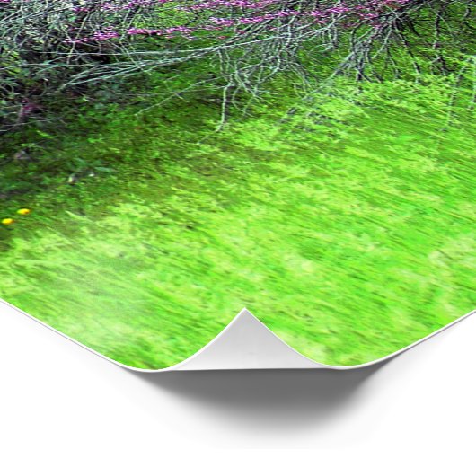 赤い芽の木….. ポスター (コーナー)