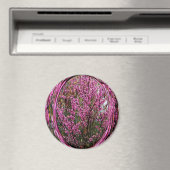 赤い芽の木….. マグネット (インサイチュ (食洗機))