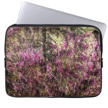 赤い芽の木…..