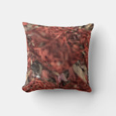 赤い茂み クッション (正面)