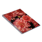 赤い菊 ノートブック (右側)