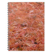 赤い落ちた紅葉メモ帳 ノートブック (正面)