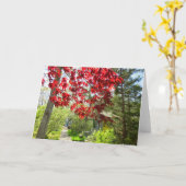 赤い葉と歩道 – Martha's Vineyard カード (黄色い花)