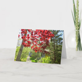 赤い葉と歩道 – Martha's Vineyard カード