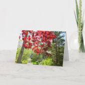 赤い葉と歩道 – Martha's Vineyard カード (正面)