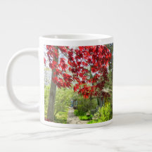 赤い葉と歩道 – Martha's Vineyard