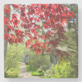 赤い葉と歩道 – Martha's Vineyard ストーンコースター