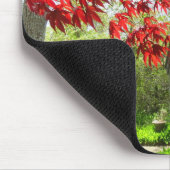 赤い葉と歩道 – Martha's Vineyard マウスパッド (コーナー)