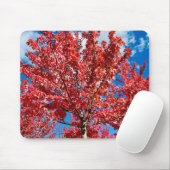 赤い葉の木の秋 マウスパッド (マウス)