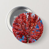 赤い葉の木の秋 缶バッジ (正面&裏面)