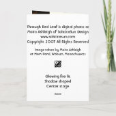 赤い葉を通した日曜日 カード (裏面)