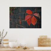 赤い葉ポスター ポスター (キッチン)