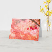 赤い葉 カード (黄色い花)