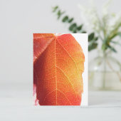 赤い葉 ポストカード (スタンド正面)