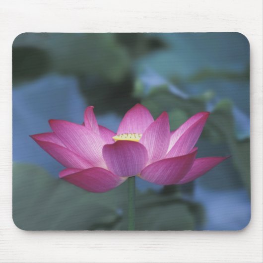 赤い蓮の花と緑の葉のクローズアップ、 マウスパッド (正面)