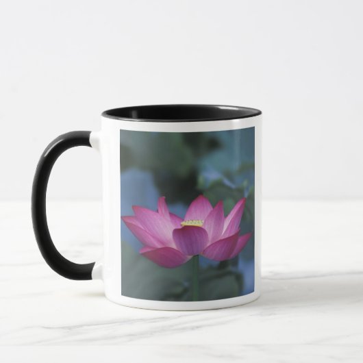 赤い蓮の花と緑の葉のクローズアップ、 マグカップ (左)