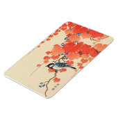 赤い蔦に鳥、古邨鳥の赤いツタ、小村、浮世絵 マグネット (左側)
