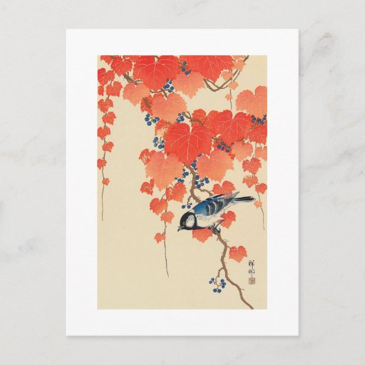 赤い蔦に鳥, 古邨 Bird on Red Ivy, Koson, Ukiyo-e ポストカード (正面)