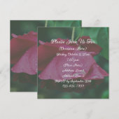 赤い薔薇の花 招待状 (正面/裏面)