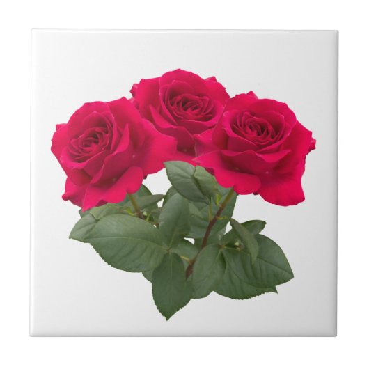 赤い薔薇 タイル (正面)
