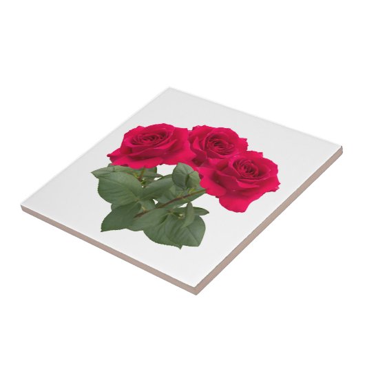 赤い薔薇 タイル (側面)