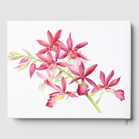 赤い蘭の花の水彩植物結婚の ゲストブック (裏面)