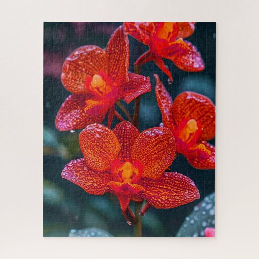 赤い蘭の花 ジグソーパズル (縦)