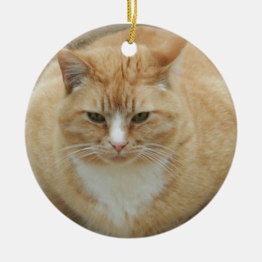 赤い虎猫 セラミックオーナメント (正面)