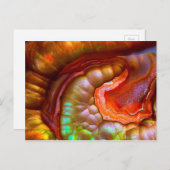 赤い虹色のファイアオパール ポストカード (正面/裏面)