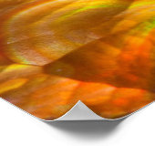 赤い虹色の炎オパール ポスター (角)