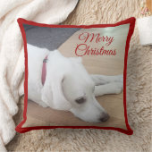 赤い襟のクリスマスを着たかわいい犬 クッション (ブランケット)