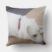 赤い襟のクリスマスを着たかわいい犬 クッション (裏面)