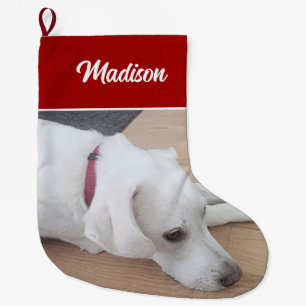 赤い襟を着たかわいい犬 ラージクリスマスストッキング
