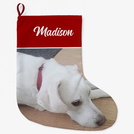 赤い襟を着たかわいい犬 ラージクリスマスストッキング (正面)