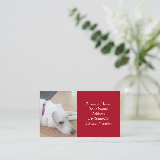 赤い襟を着たかわいい白犬の写真 名刺 (スタンド正面)