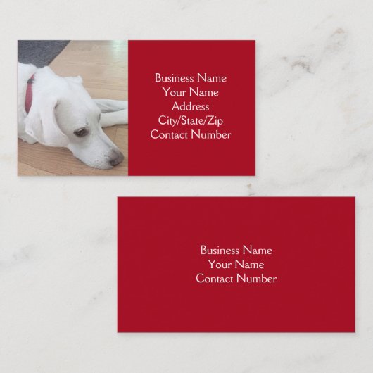 赤い襟を着たかわいい白犬の写真 名刺 (正面/裏面)