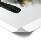 赤い請求済みのトゥーカン、「ランファのモノグラフ」から ポスター (角)