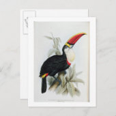 赤い請求済みのトゥーカン、「ランファのモノグラフ」から ポストカード (正面/裏面)